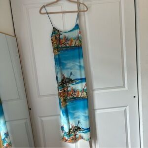 Zara Women’s Printed Tulle Maxi Dress - Size Small